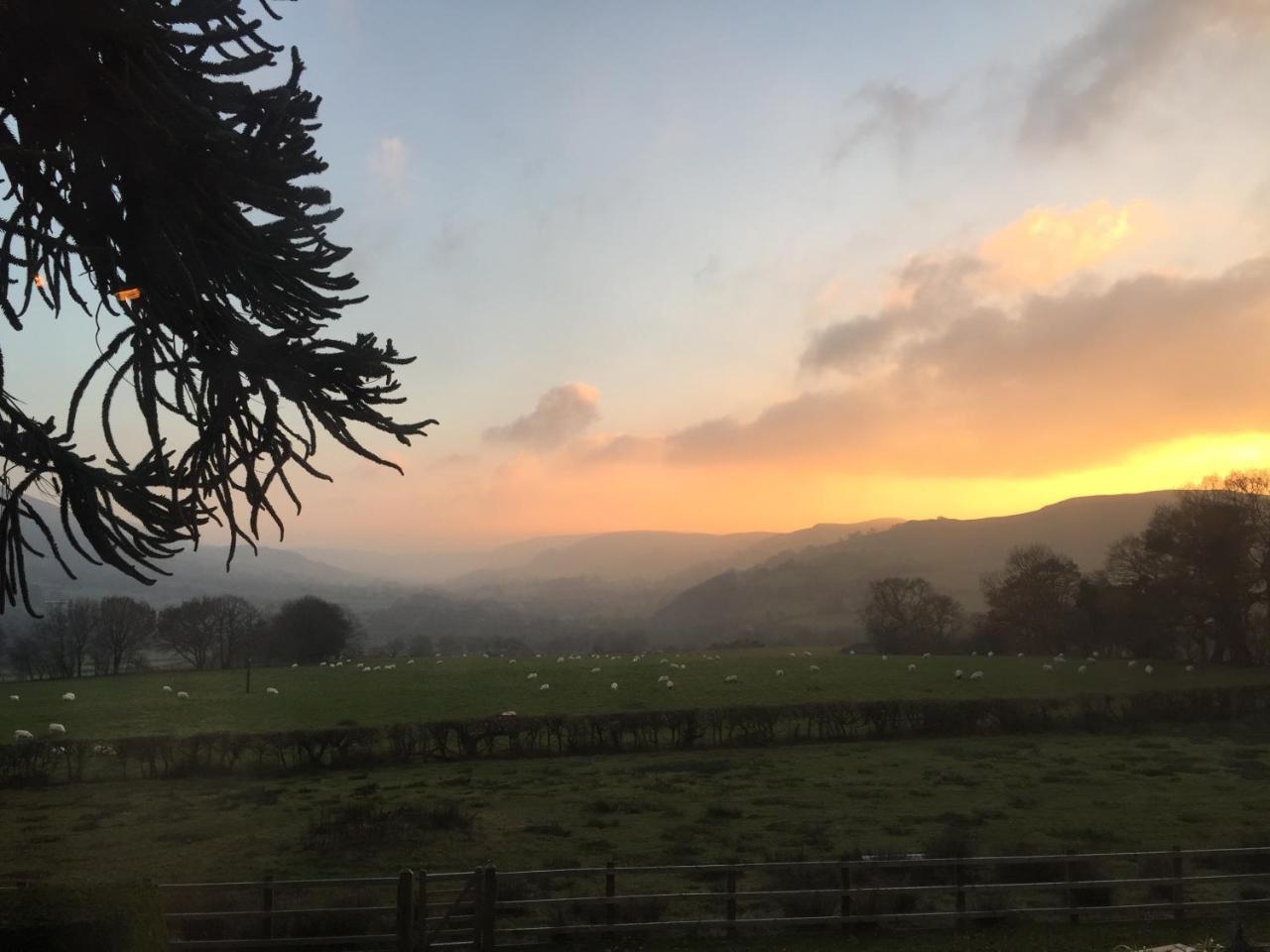 Llanbrynmair The Royston酒店 外观 照片